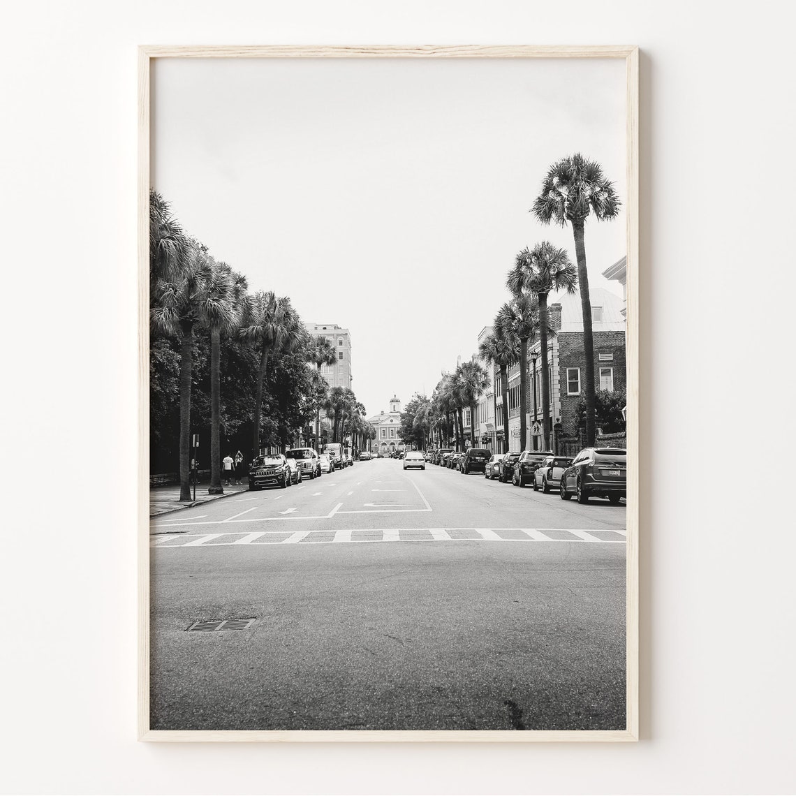 Charleston Black And White Print South Carolina Wall Art Charleston Street Photo Charleston Poster Usa Photography C19 231