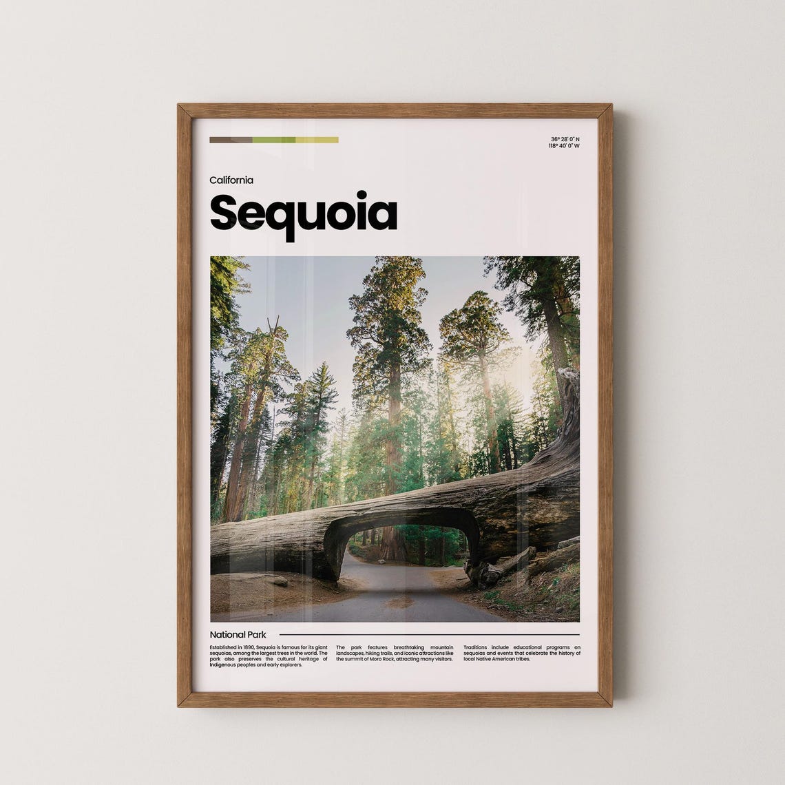 Sequoia National Park Fallen Tunnel Log Giant Trees California Poster