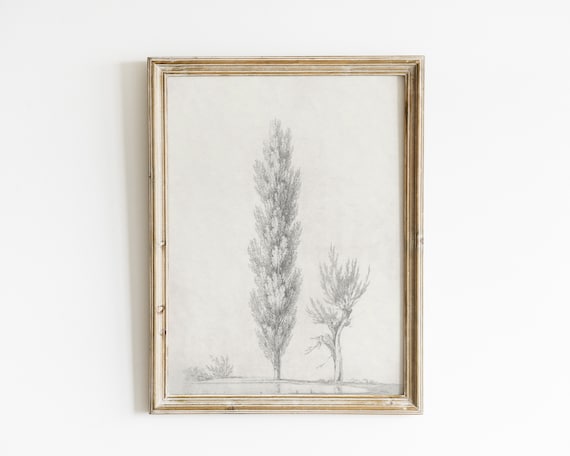 Tree Sketch Vintage Tree Drawing Art Print