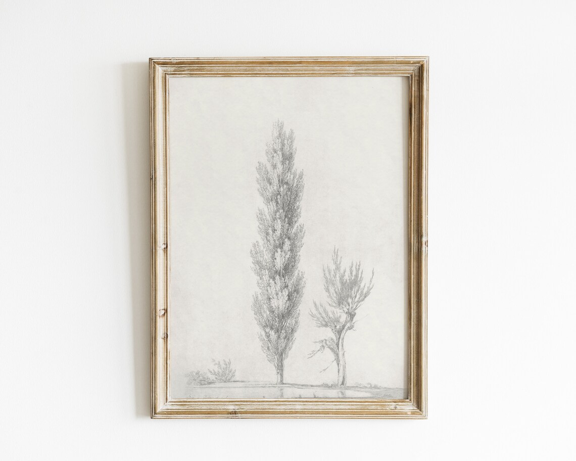 Tree Sketch Vintage Tree Drawing Art Print