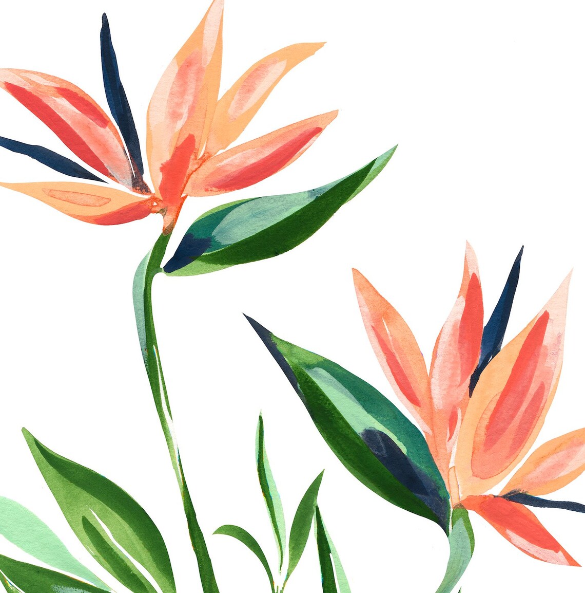 Bird Of Paradise Art Print, Tropical Botanical Wall Art - Image 2