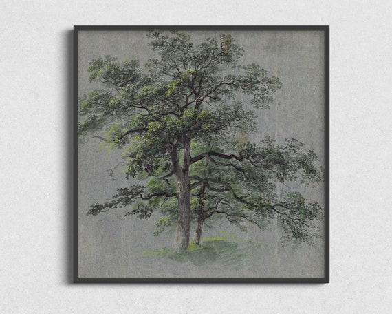 Vintage Tree Sketch Art Print, Nature Wall Decor