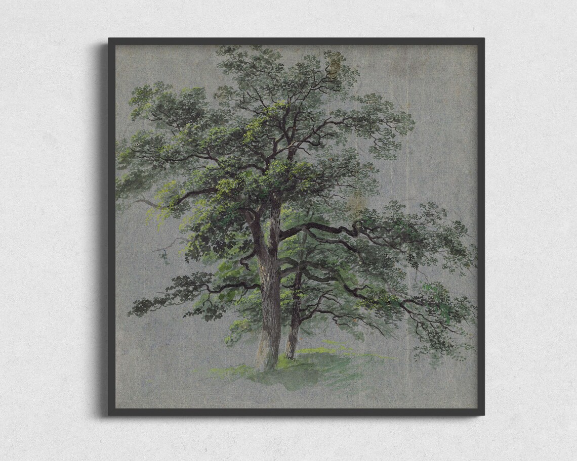 Vintage Tree Sketch Art Print, Nature Wall Decor
