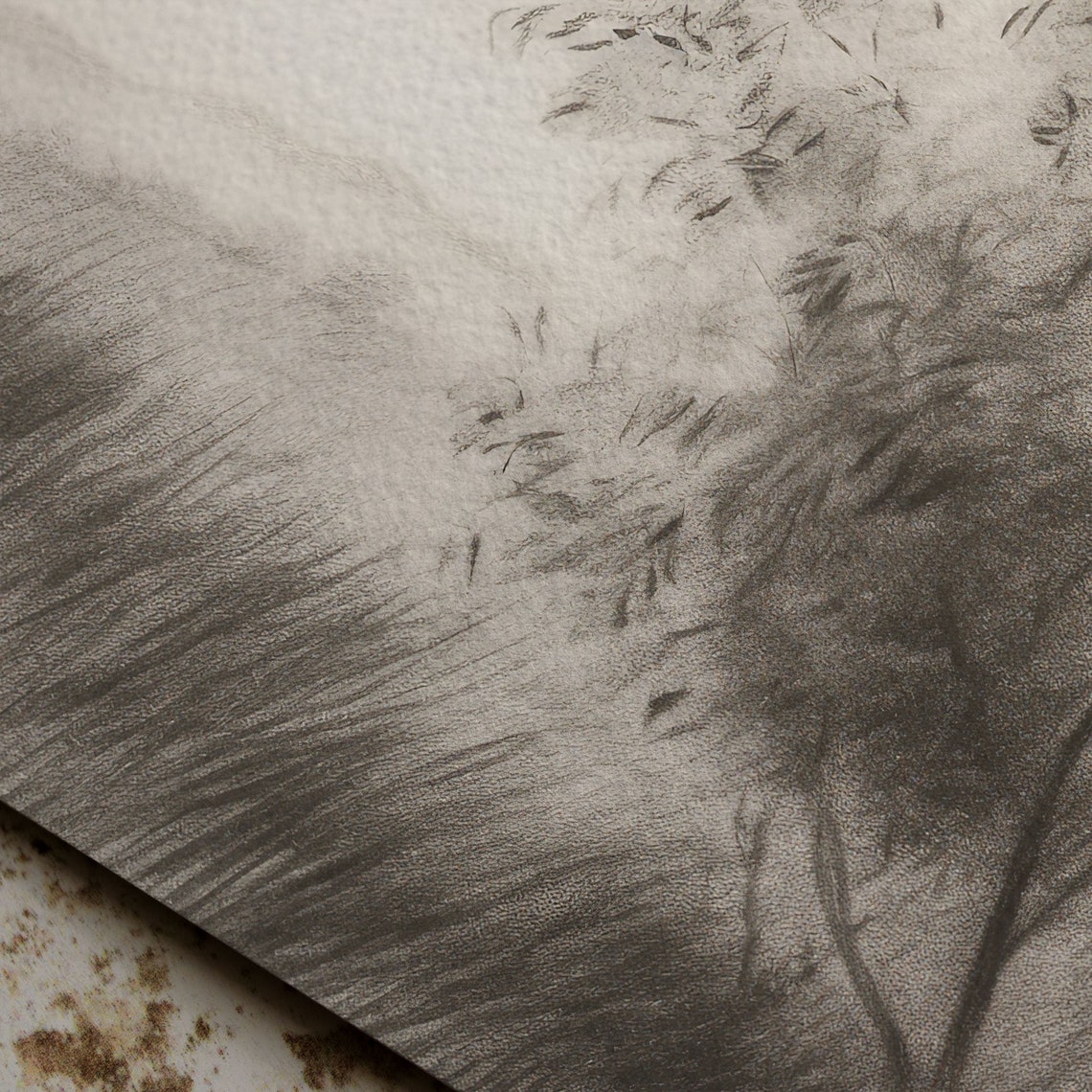 Charcoal Landscape Study Trees Grasses Vintage Sketch Poster - Image 6