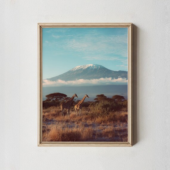 Kilimanjaro Print Giraffe Safari African Landscape Photography