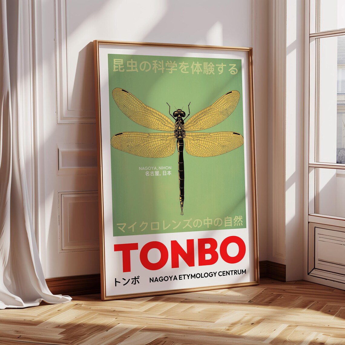 Japanese Dragonfly, Vintage Entomology Art Print