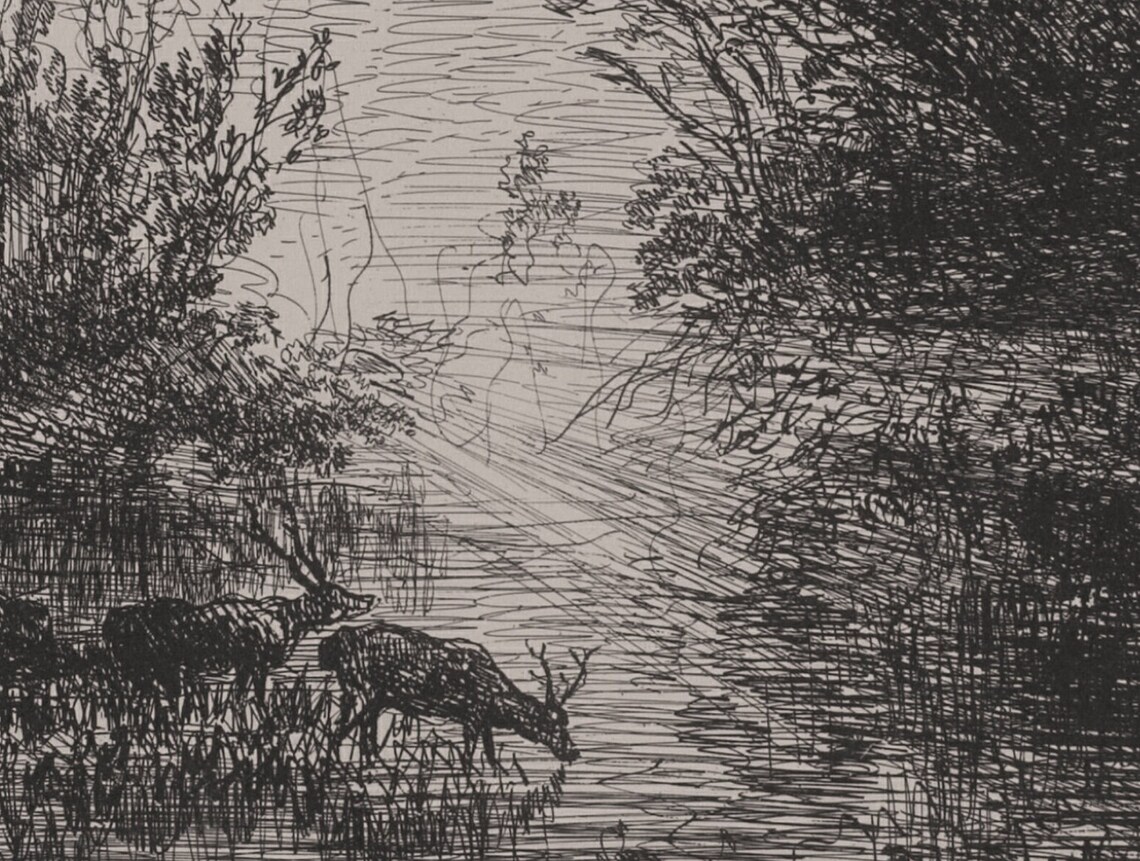 Dark Stag Sketch Vintage Etching Art Print - Image 3