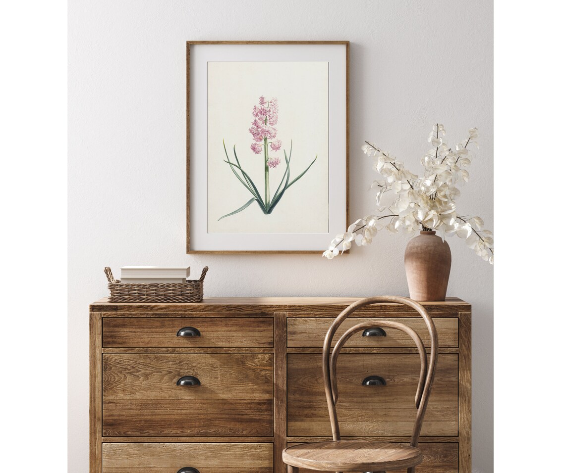 Pink Hyacinth Vintage Botanical Art Print - Image 4