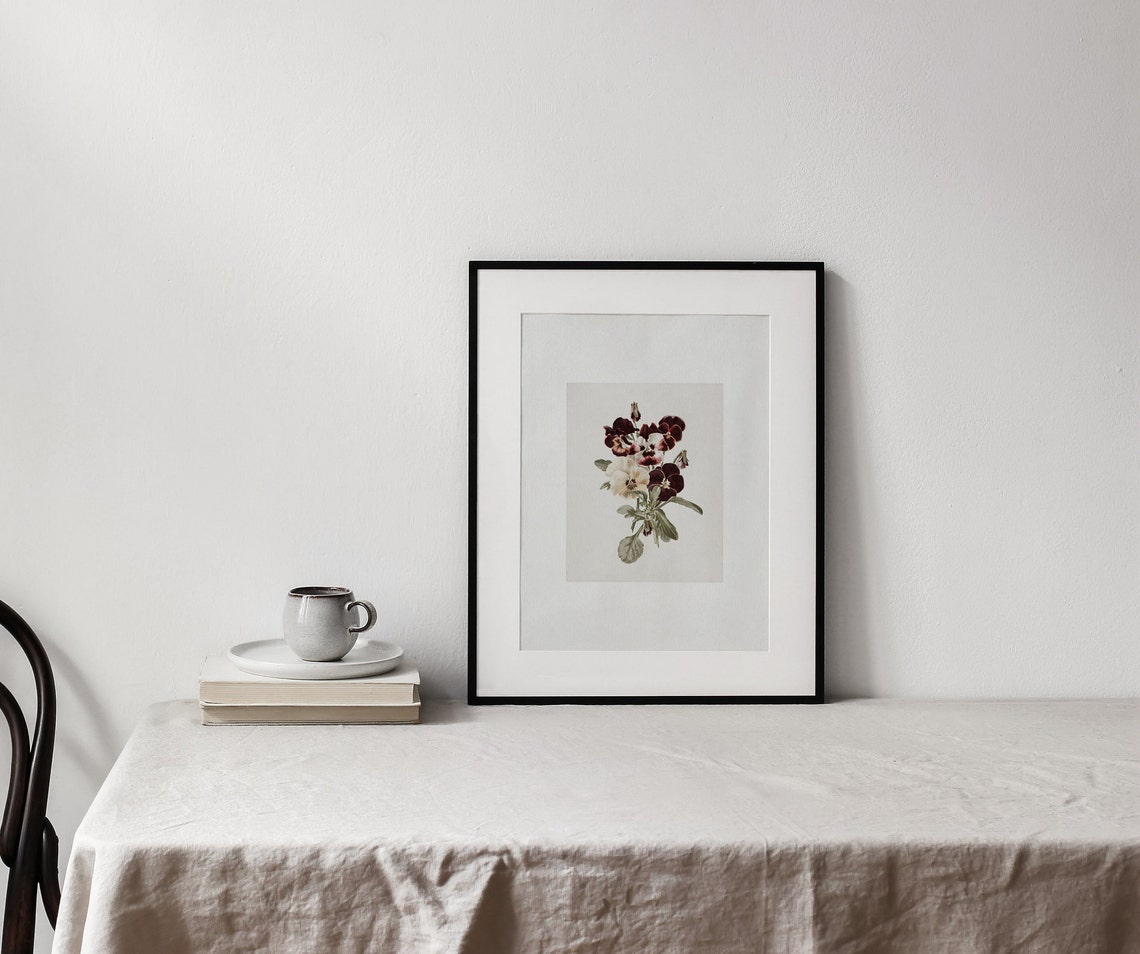 Pansy Bunch Vintage Botanical Art Print - Image 2