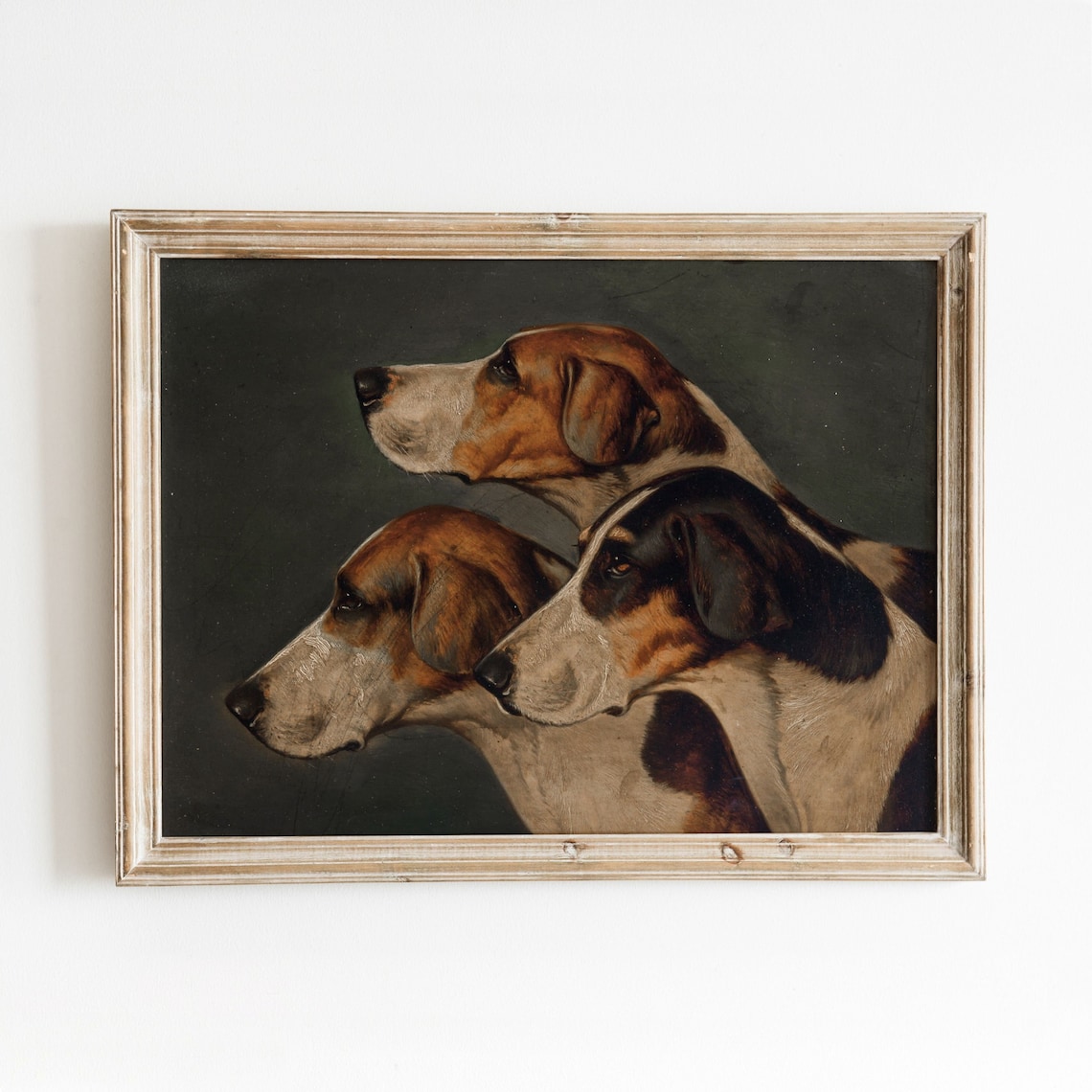 Three English Foxhounds Vintage Dog Art Print