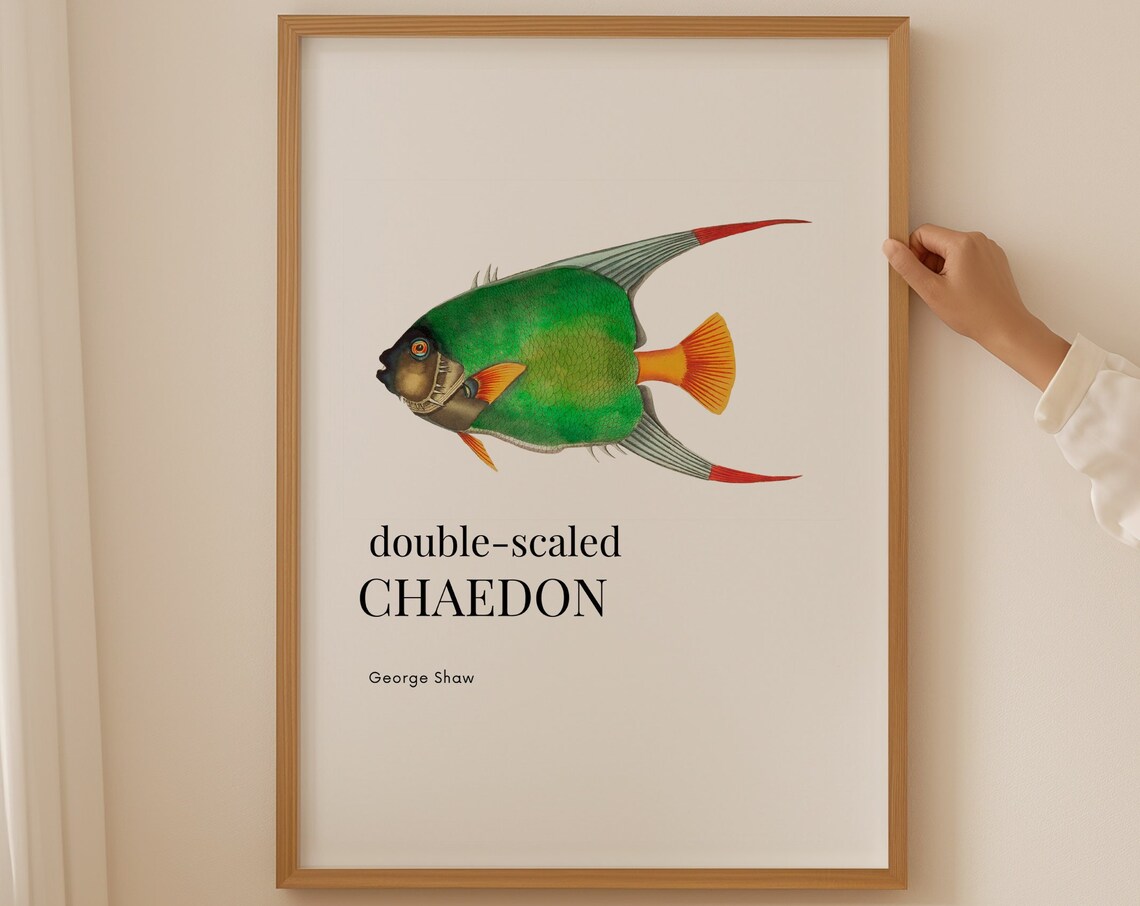 Double-Scaled Chaedon Green Fish George Shaw Vintage Marine Print