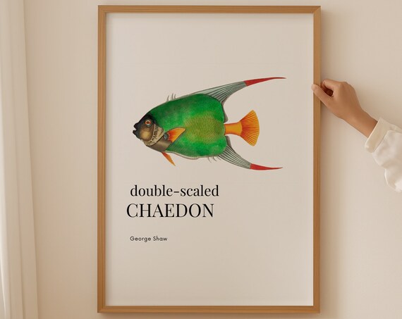 Angel Fish Print Wall Art Prints Vintage Poster Gallery Wall Trendy Wall Art Desk Decor Mid Century Gift For Him