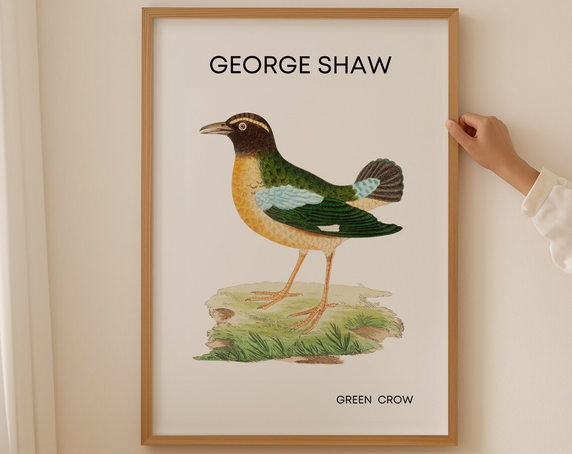 Classic George Shaw Green Crow Vintage Bird Illustration Poster