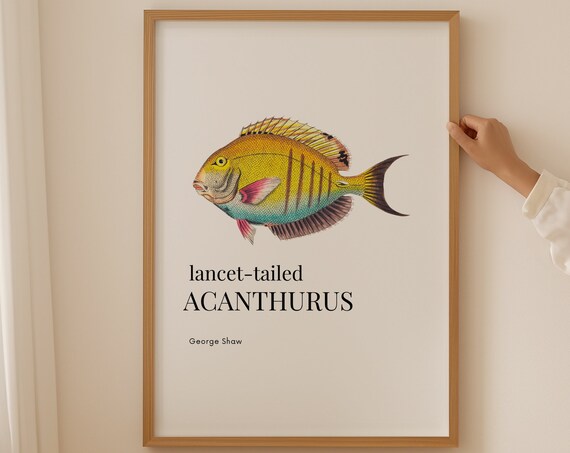 Mid Century Modern Art Deco Poster Funny Gift Dorm Room Decor Modern Wall Art Illustration Print Salt Water Fish Minimalist