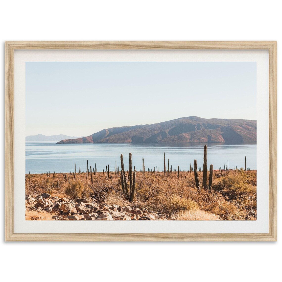 Baja La Paz Mexico Desert Ocean Cactus Art Print