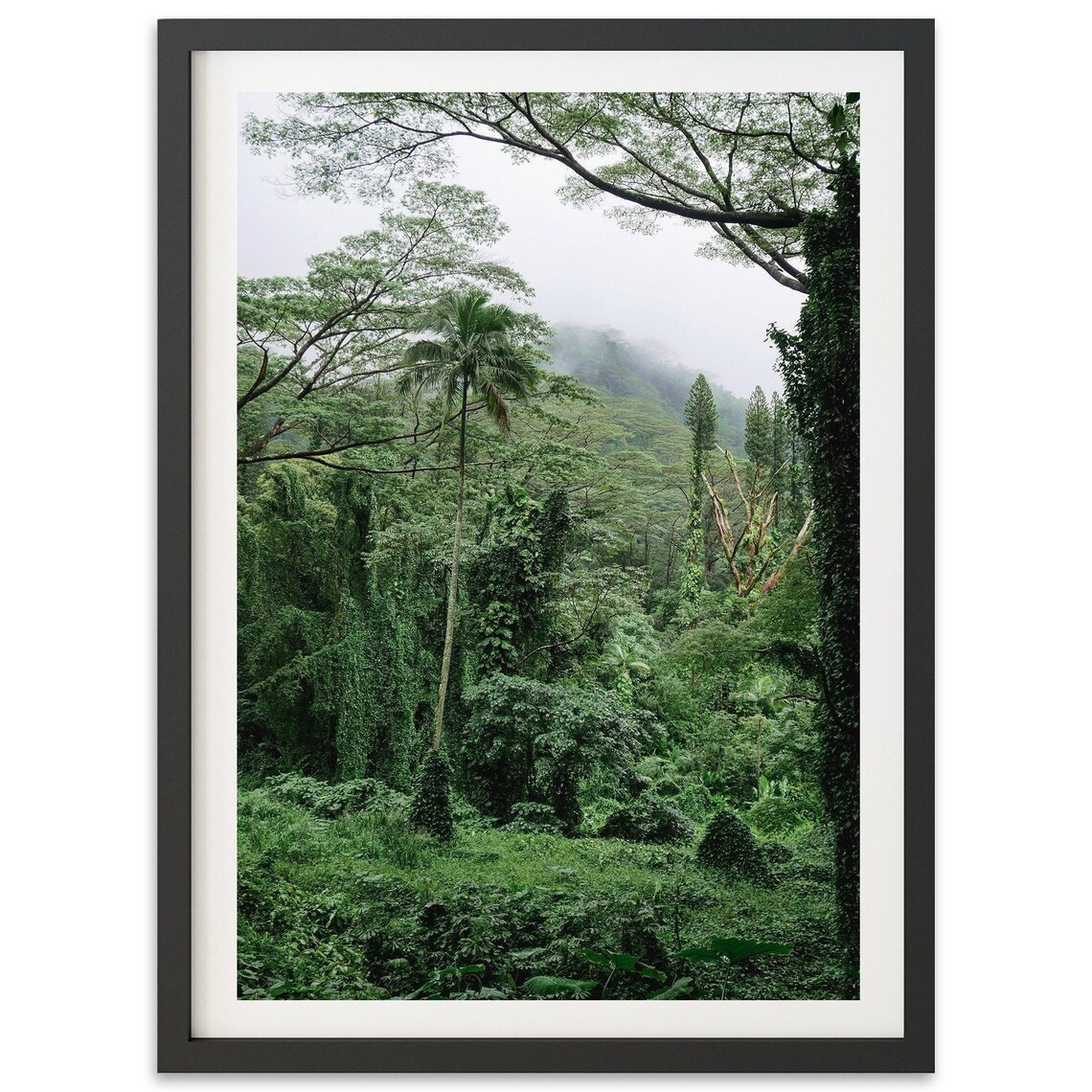 Lush Misty Hawaiian Tropical Rainforest Canopy Photography Poster