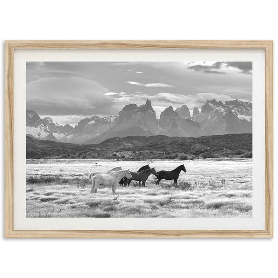 Wild Horses Black And White Vintage Art Print