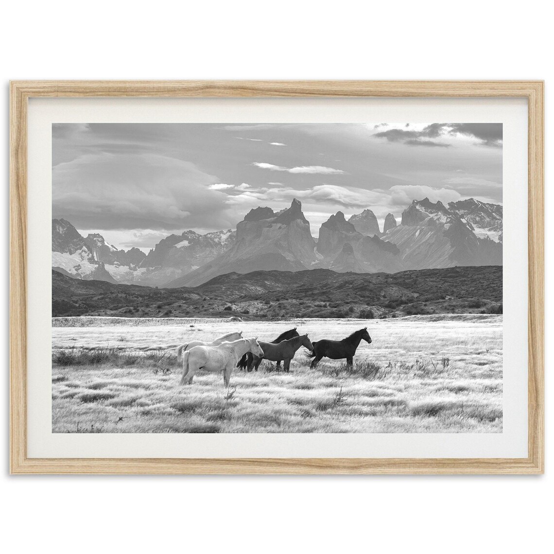 Wild Horses Black And White Vintage Art Print