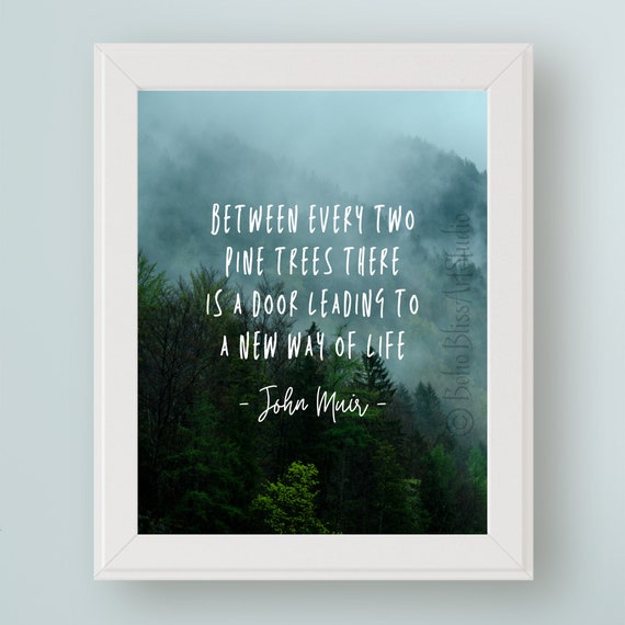 Between Every Two Pine Trees John Muir Quote Art Tree Hugger Wall Art Forest Bathing Wall Decor John Muir Art Print