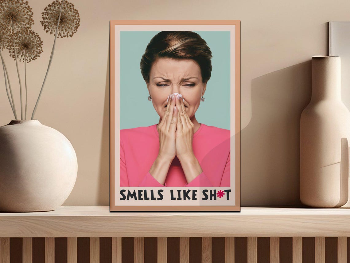 Funny Smells Like Shhh Sassy Sarcastic Quote Office Humor Poster - Image 2