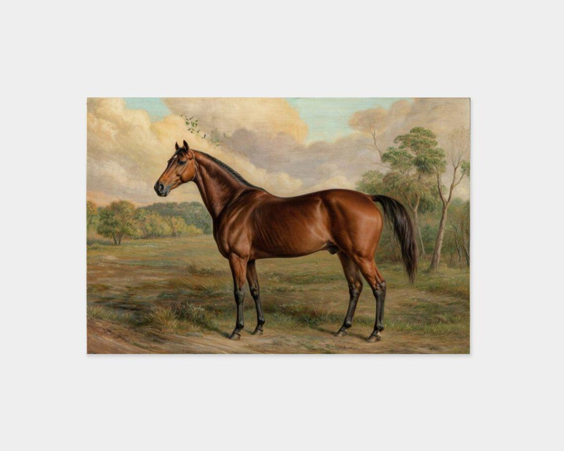 Classic Bay Stallion Portrait Vintage Horse Painting Art Poster - Image 2