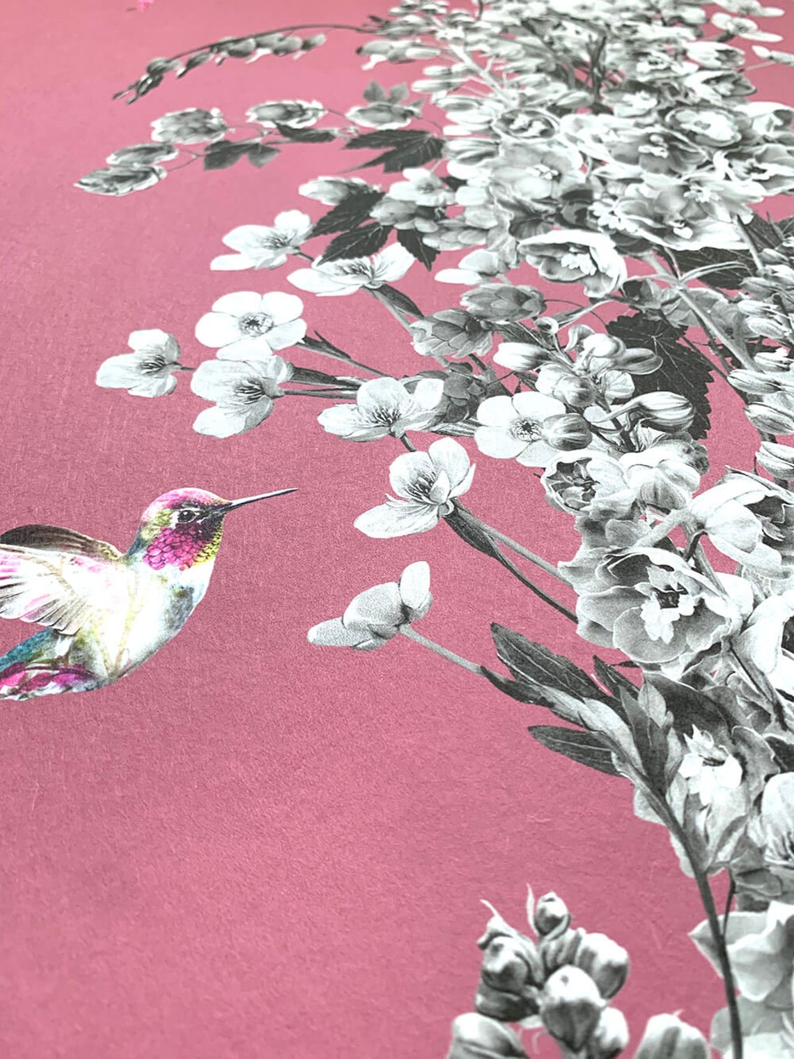 Hummingbird Wallpaper Sample
