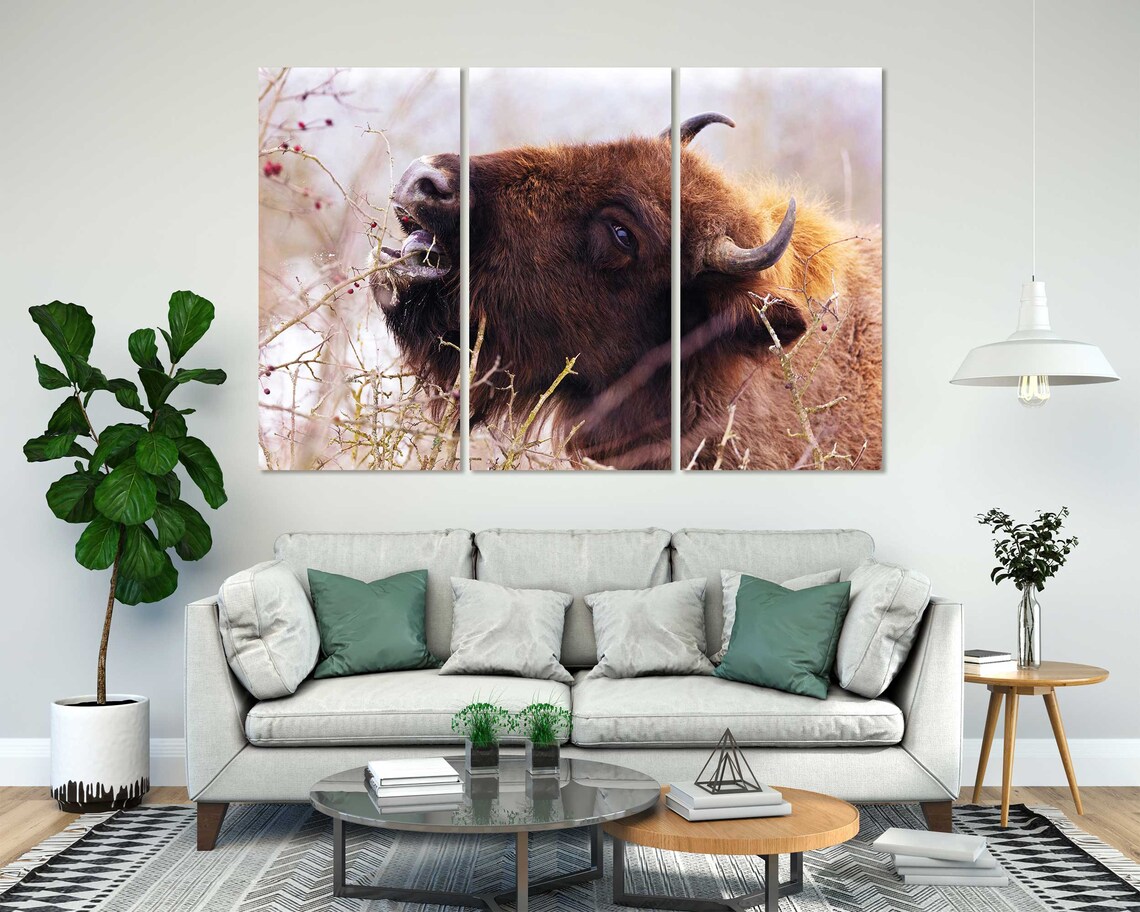 Buffalo Bison Eating Berries Closeup Wild Animal Wildlife Poster - Image 7
