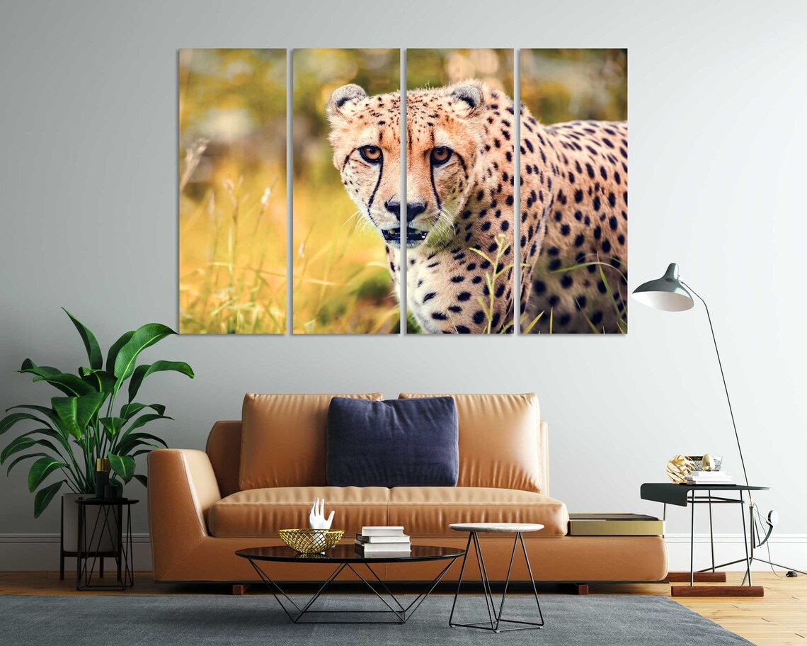 Cheetah Close Up Golden Grass Wild Cat Spotted Safari Animal Portrait Poster - Image 7