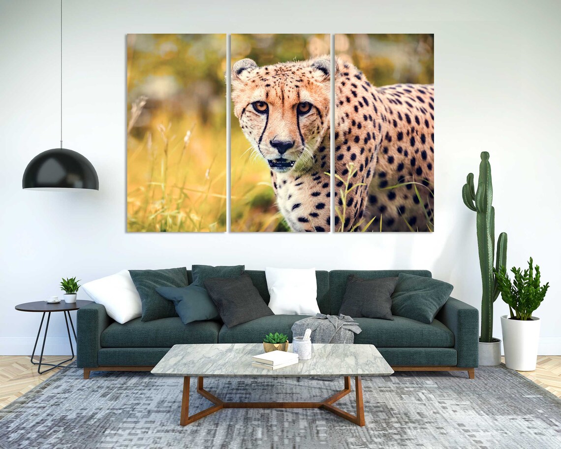 Cheetah Close Up Golden Grass Wild Cat Spotted Safari Animal Portrait Poster - Image 2
