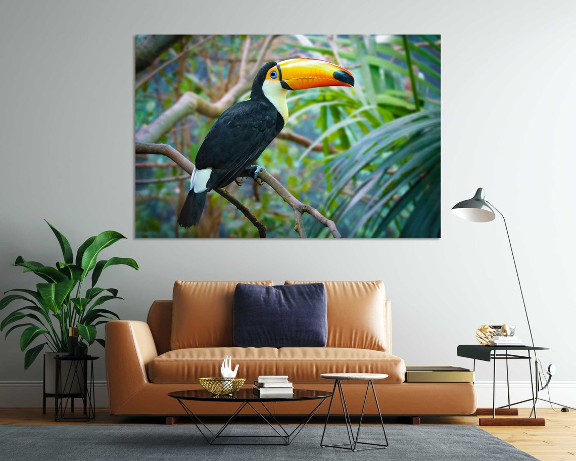 Toco Toucan On Branch Tropical Bird Orange Beak Jungle Photo Poster