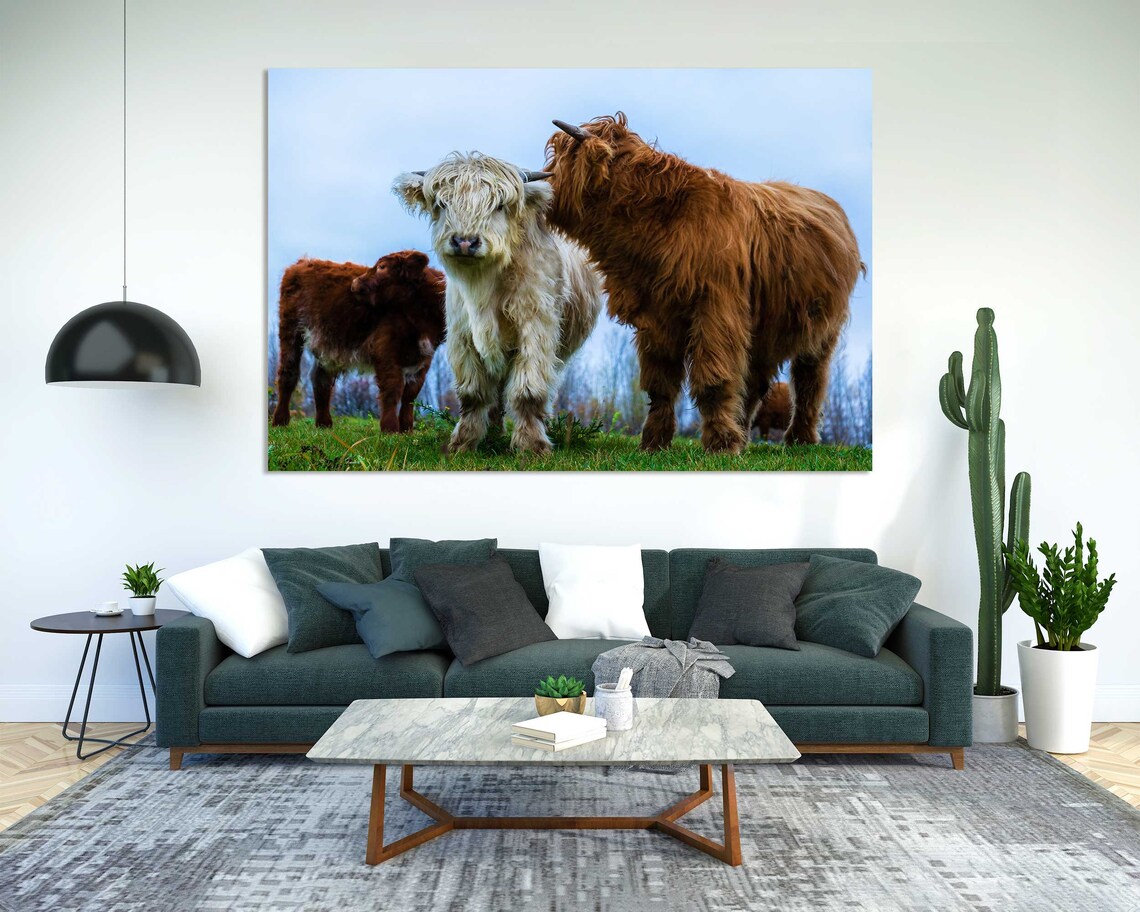 Highland Cows Herd Farm Field Shaggy Scottish Cattle Animal Poster - Image 5