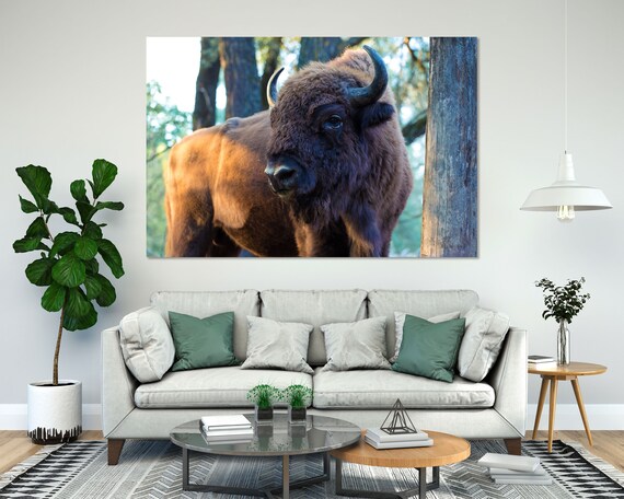 European Bison Bull Close Up Forest Portrait Majestic Wildlife Poster