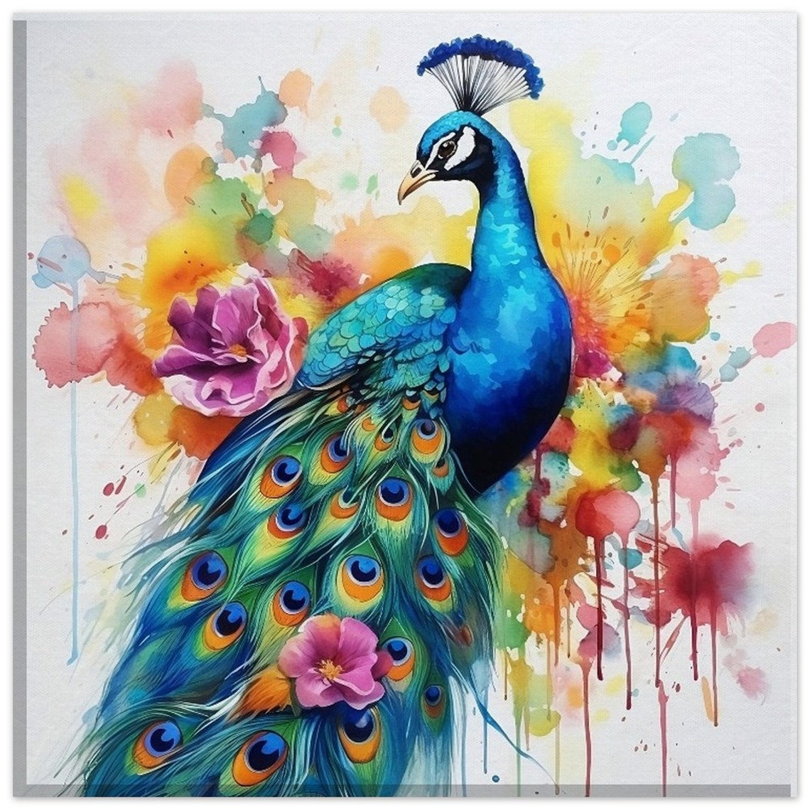 Peacock Watercolour Painting Colourful Feathers Floral Splash Poster