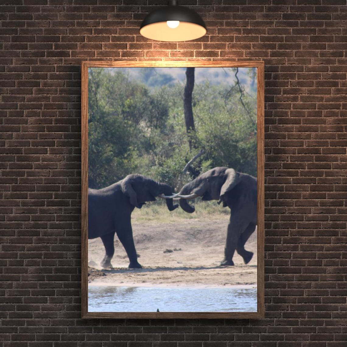 Elephant Art, Africa’s Game Reserves - Image 2