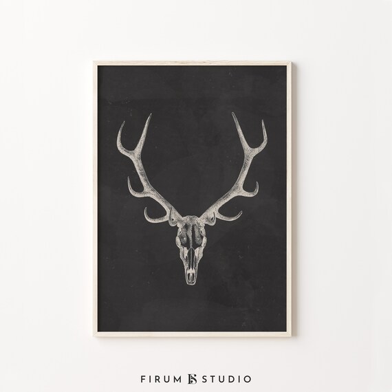 Deer Skull with Antlers Vintage Anatomical Illustration Black Poster