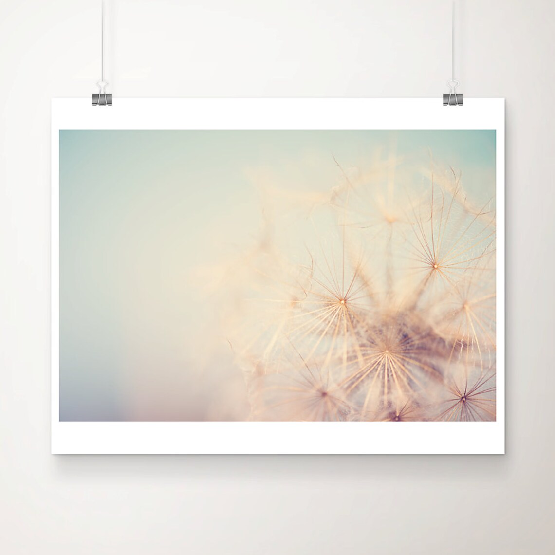 Dandelion Seed Botanical Art Print, Ombre Pastel
