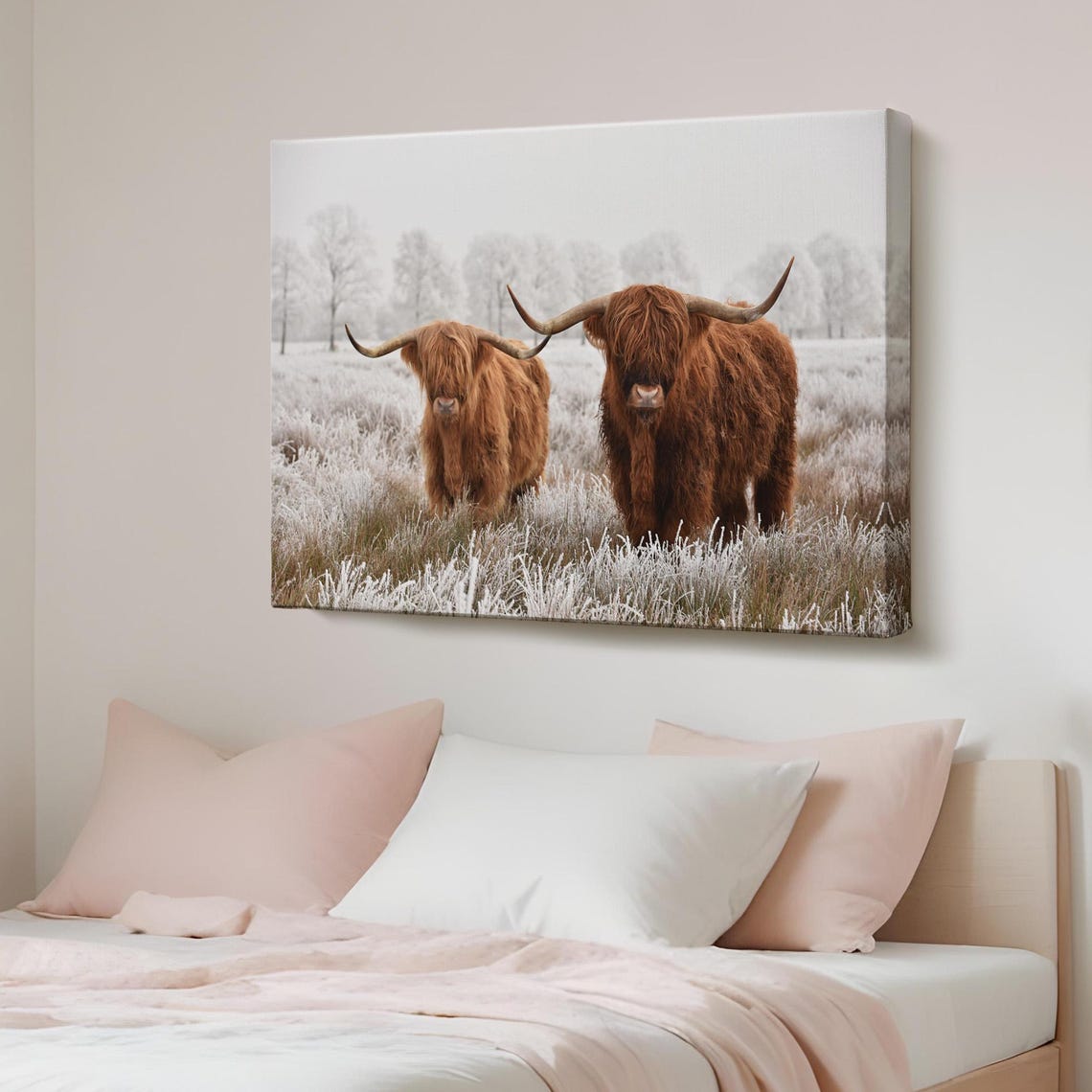 Two Highland Cows Standing In Frosty Winter Field Cattle Poster