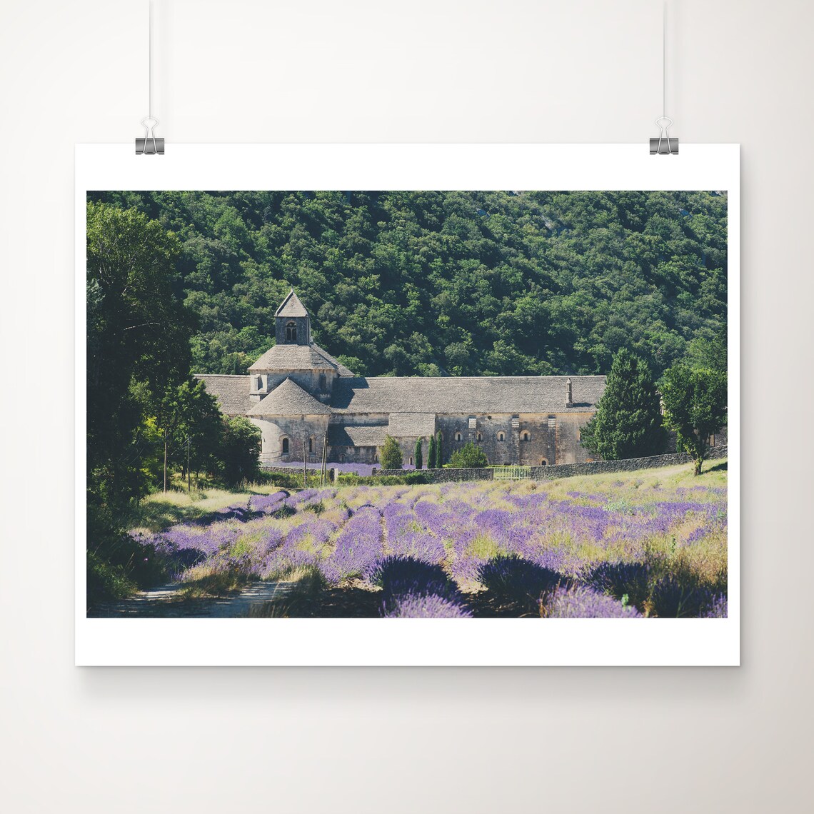 Provence Senanque Abbey Purple Lavender Fields France Photo Print