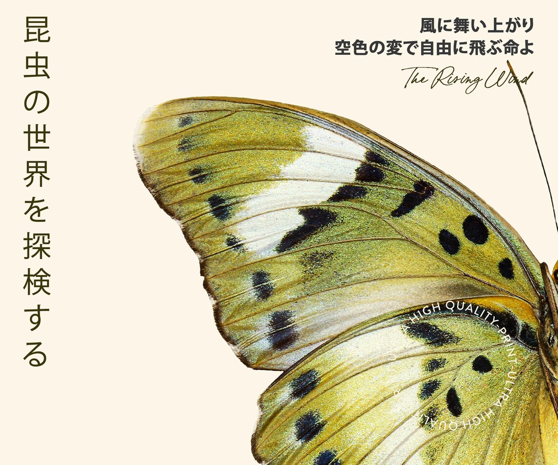 Tokyo Green Butterfly Japan 1977 Black Title Retro Wall Art Poster - Image 5