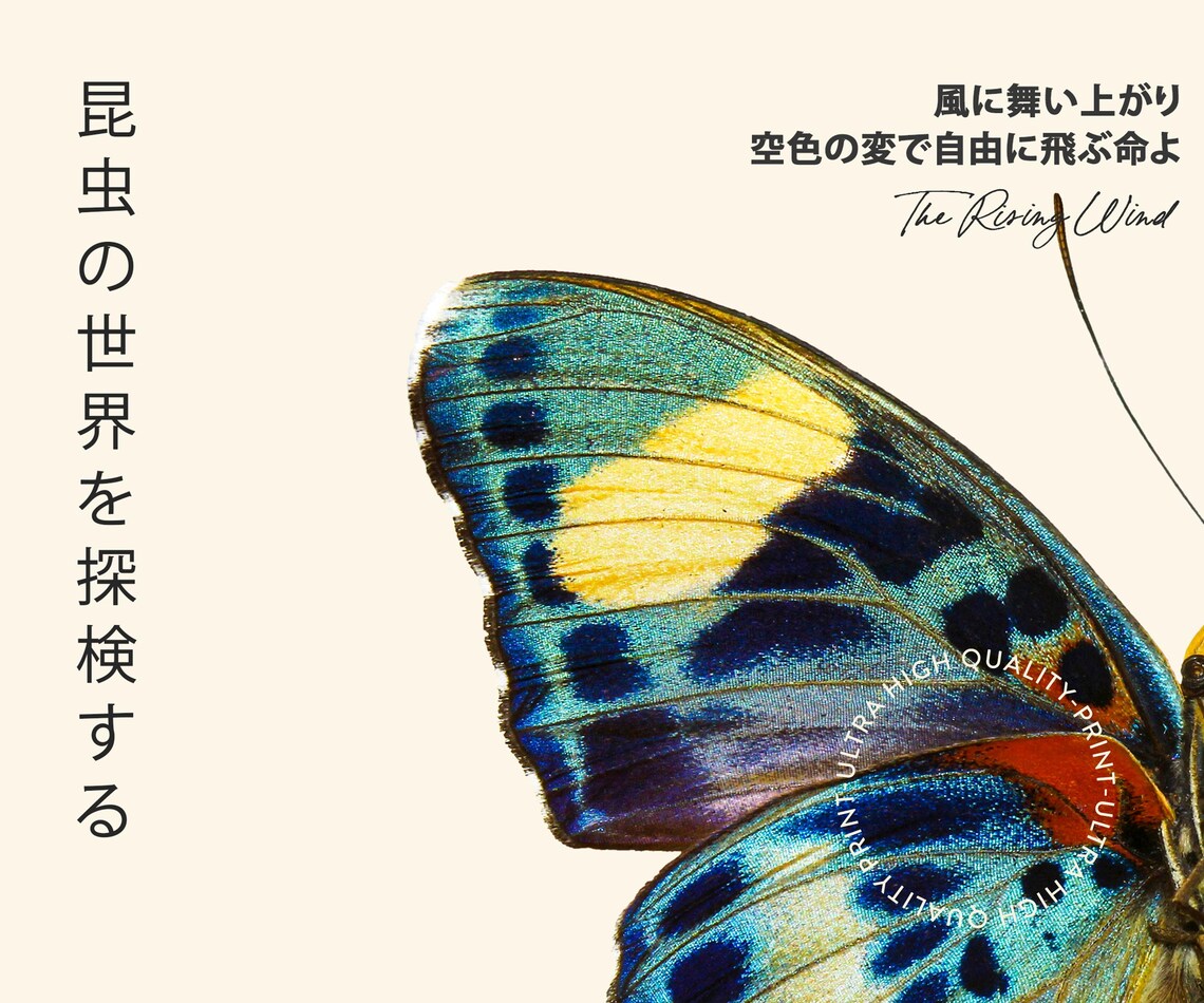 Tokyo Japan 1977 Butterfly Wing Macro Vintage Japanese Exhibition Art Poster - Image 5