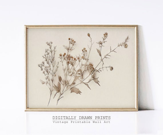 Vintage Botanical Sketch, Floral Drawing Art Print
