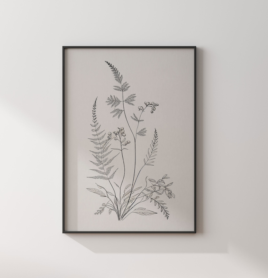 Vintage Botanical Sketch, Antique Botanical Art - Image 2