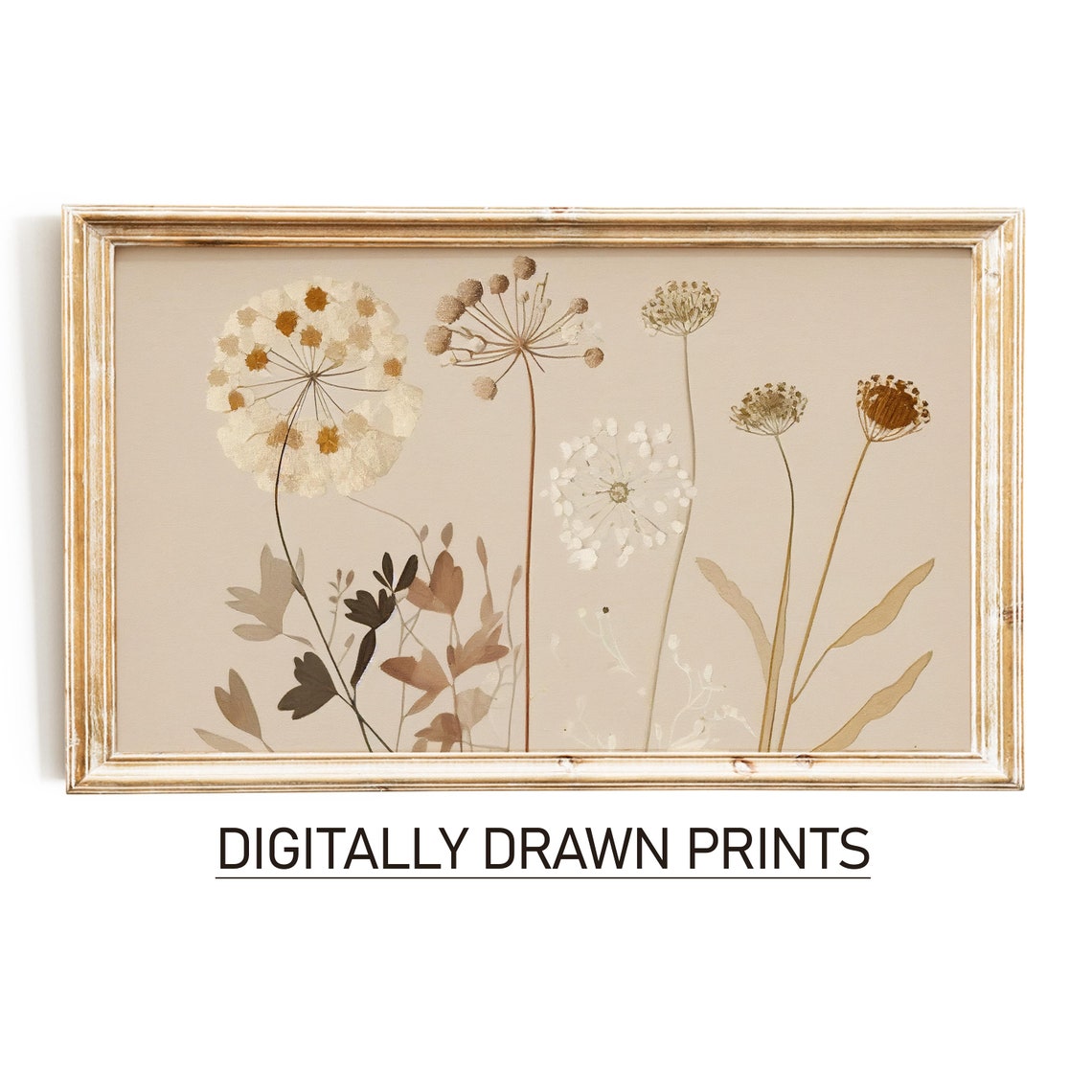 Dried Queen Annes Lace Stems Cream Minimal Botanical Wall Art Print