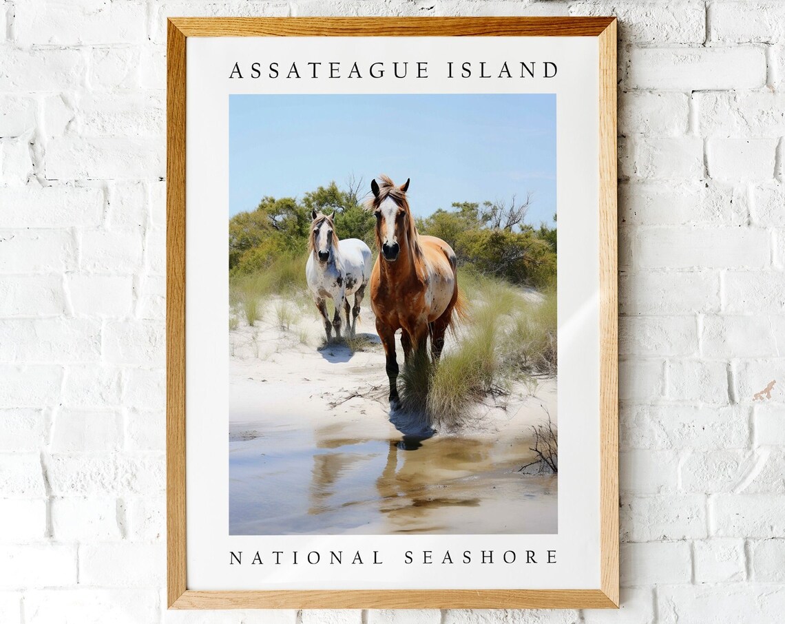 Assateague Island National Seashore Wild Horses Photo Poster
