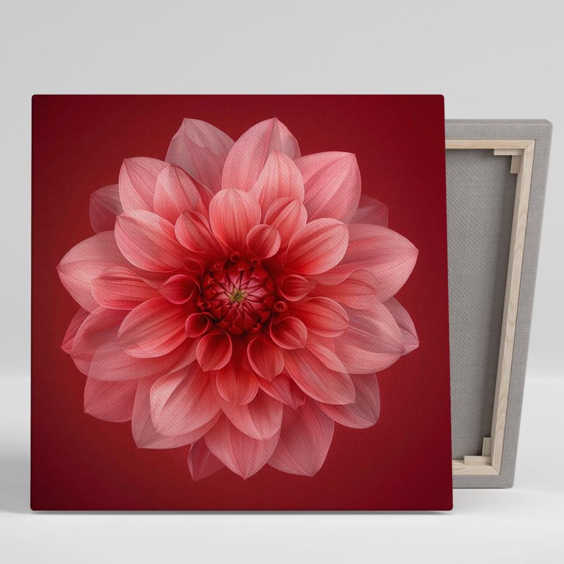 Pink Dahlia Flower Macro Portrait Deep Red Background Wall Art