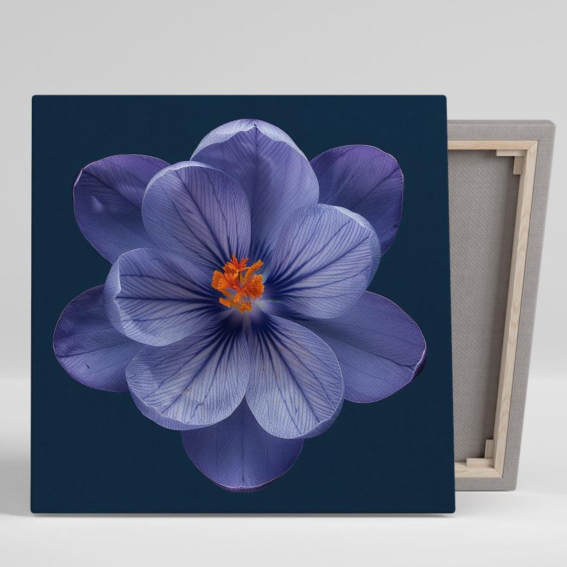 Violet Blue Crocus Veined Petals Dark Navy Modern Botanical Wall Art
