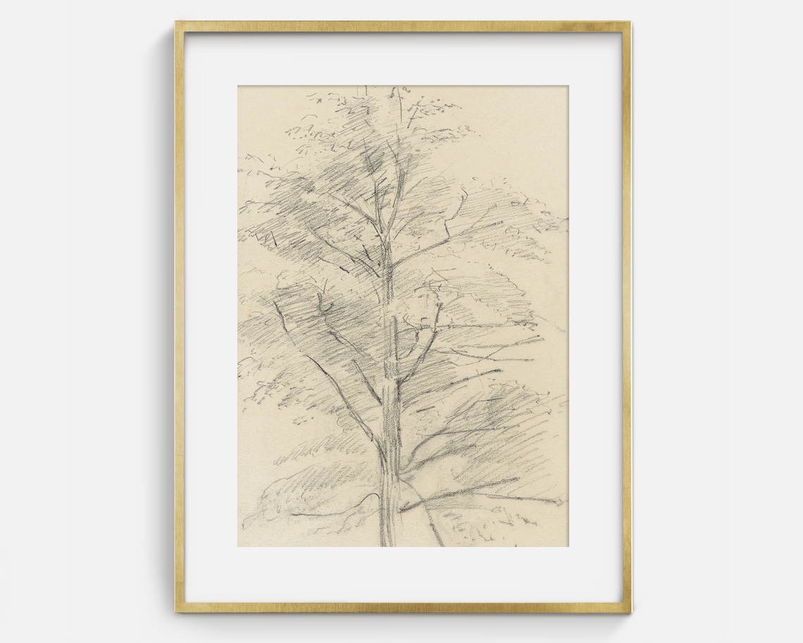 Vintage Tree Sketch, Antique Nature Drawing - Image 2