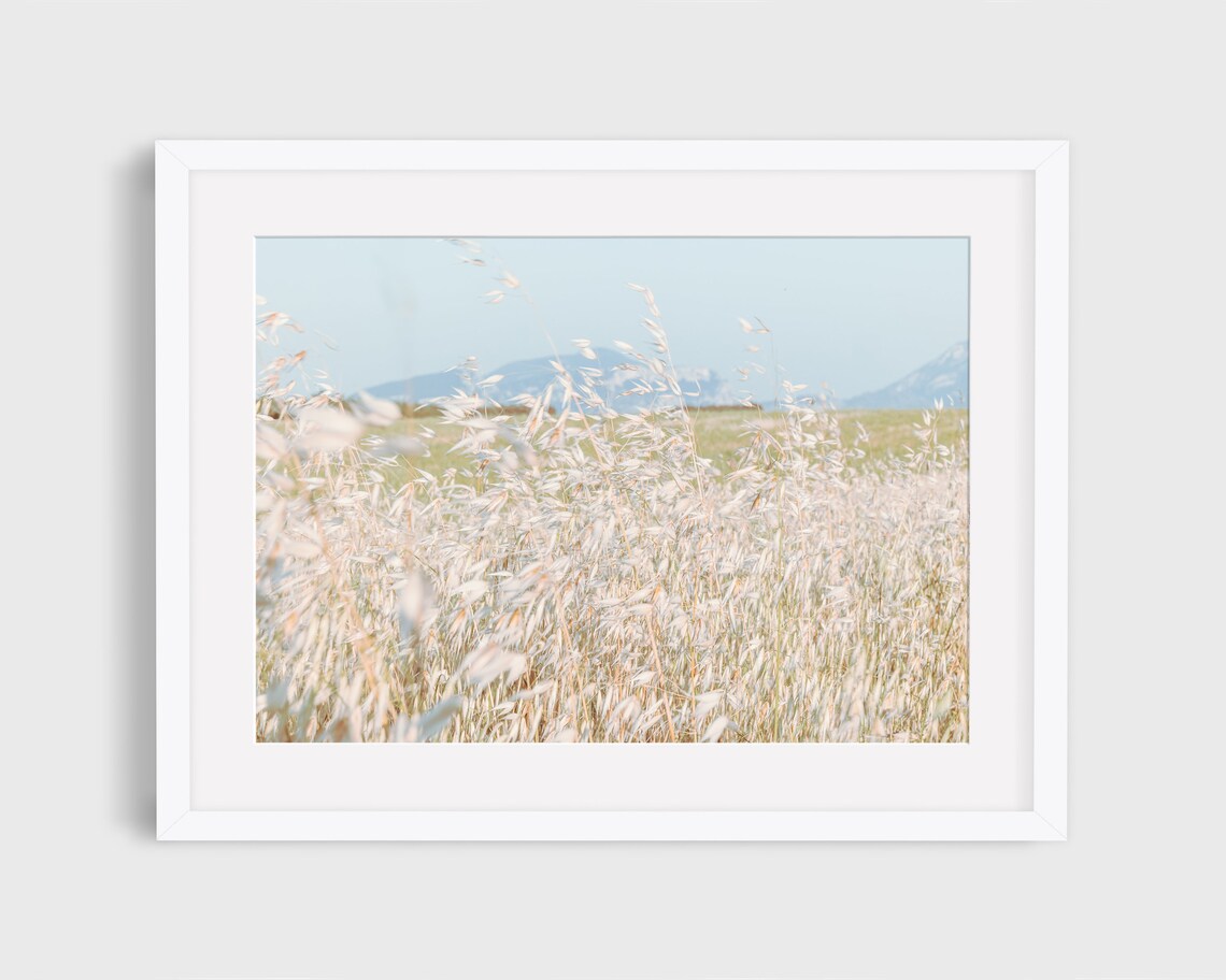 French Countryside Country Field Photo, Farmhouse Decor