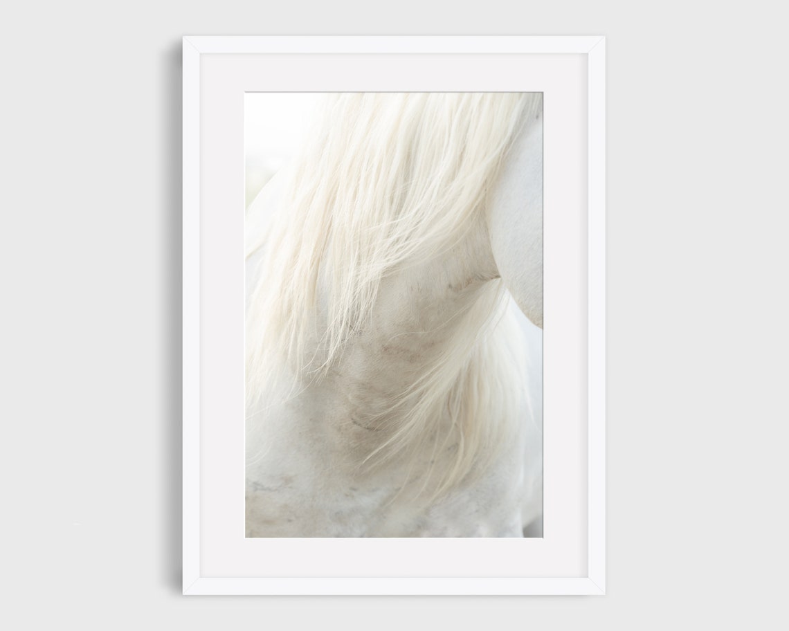 White Horse Photography Detail, Wild Horse Print