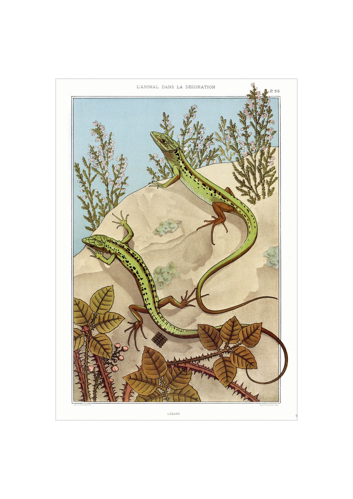 Maurice Verneuil Two Green Lizards in Heather Art Nouveau Poster